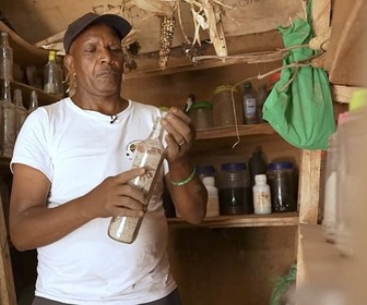 Replay ARTE Journal - Kenya : victoire pour les semences indigènes