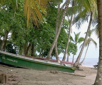 Replay Le Costa Rica de Walter Ferguson / Irak / Cerbère - Invitation au voyage