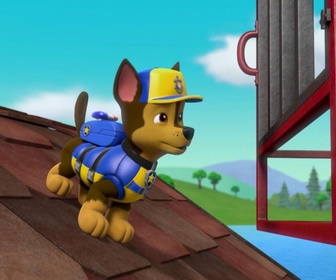 Replay Paw Patrol, la Pat'Patrouille - La Pat' Patrouille des Mers : Inondation à la ferme