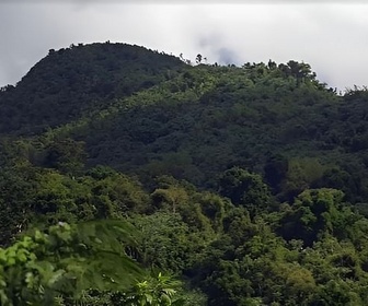 Replay Invitation au voyage - 31/10/2024 - El Yunque, la forêt enchantée de Porto Rico