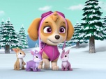 Replay Paw Patrol, la Pat'Patrouille - La tempête de neige