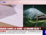 Replay Apolline de 9 à 10 - Il ne va pas s'attaquer à un être humain: Bill François, biophysicien, décrit le rôle du silure dans la Seine
