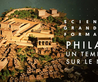 Science grand format replay