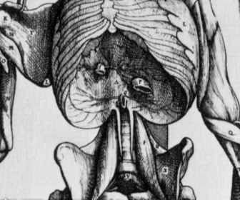 Replay Invitation au voyage - 08/10/2026 - En Égypte, le père cruel de l'anatomie