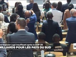 Replay Journal de l'Afrique - COP 29 : un accord financier jugé insuffisant par les pays du sud