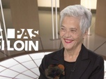 Replay Françoise Vergès, invitée de C pas si loin