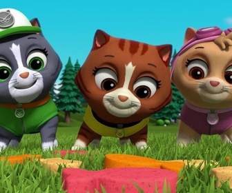 Replay Paw Patrol, la Pat'Patrouille - La piñata d'anniversaire