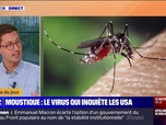 Replay L'image du jour - Un moustique porteur d'un virus mortel inquiète les États-Unis