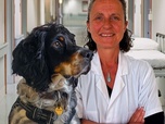 Replay 28 minutes - Des chiens qui ont du pif