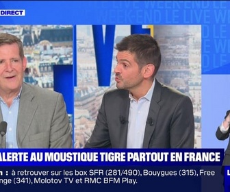 Replay Le Live Week-end - Alerte au moustique tigre partout en France - 06/07