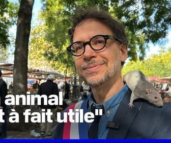Replay ROBIN DE BFM - Un élu souhaite réconcilier les Parisiens avec les rats