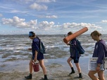 Replay Ambiance de crise - Mon année de volontariat écologique (4/5)