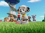 Replay Paw Patrol, la Pat'Patrouille - Helga et le Yetinger