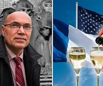 Replay Une histoire animale du monde / Surtaxe sur les vins et spiritueux - 28 minutes