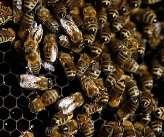 Replay Invitation au voyage - 27/11/2025 - En Slovénie, un retentissant procès