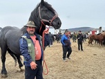 Replay Roumanie : les marchés aux chevaux contestés - ARTE Regards