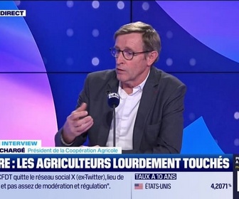 Replay Good Evening Business - Dominique Chargé (Coopération Agricole) : Censure, les agriculteurs lourdement touchés - 03/12