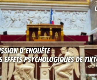 Replay Les grands débats - Commission d'enquête sur les effets psychologiques de Tiktok sur les mineurs