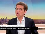 Replay L'invité politique - Émission du lundi 21 juillet 2025