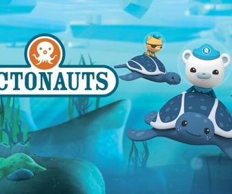 Replay Les Octonauts et les bébés morses