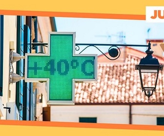 Replay Canicule : pourquoi les animaux souffrent particulièrement - ARTE Journal Junior de mercredi
