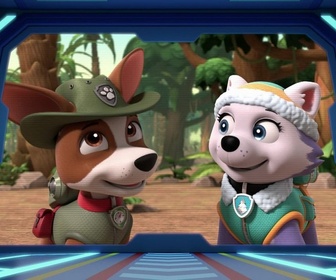 Replay Paw Patrol, la Pat'Patrouille - Un éléphanteau joueur