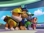 Replay Paw Patrol, la Pat'Patrouille - La ville de l'arc-en-ciel