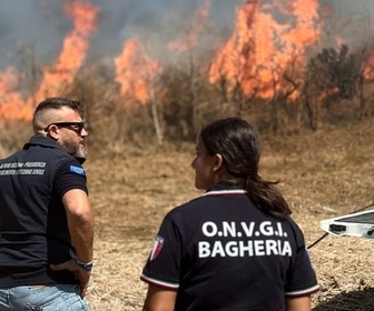 Replay Sicile : à qui profitent les incendies ? - ARTE Regards