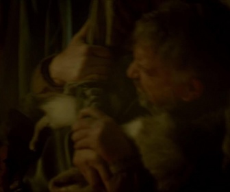 Replay Les Grandes Énigmes de l'Histoire - Le mystère des Vikings