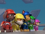 Replay Paw Patrol, la Pat'Patrouille - Mission Tout-Terrain : La cascade de Boomer