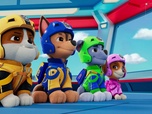 Replay Paw Patrol, la Pat'Patrouille - La Pat' Patrouille des Airs : Le nuage violet