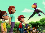 Replay Paw Patrol, la Pat'Patrouille - Mission Dino : Le ptérodactyle