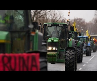 Replay L'UE va interdire les importations de viande brésilienne à partir de septembre