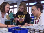 Replay ARTE Journal Junior - Apprenti reporter : Louise et les travailleurs handicapés