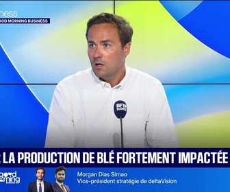 Replay Good Morning Business - Le Grand entretien : Canicule, comment se porte le marché des récoltes ? - 05/08