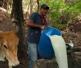 Replay Urgence climatique : un défi mondial - Honduras : sous l'emprise d'El Niño