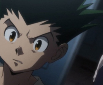 Replay Hunter x Hunter - S6 E41 - Vengeance et soins