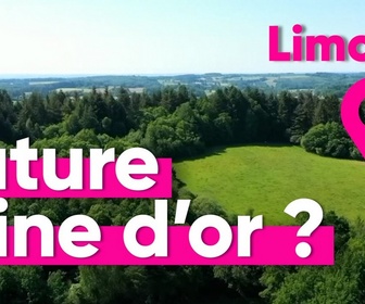 Replay Top Info - Pourquoi la France cherche à ouvrir des mines d'or ?