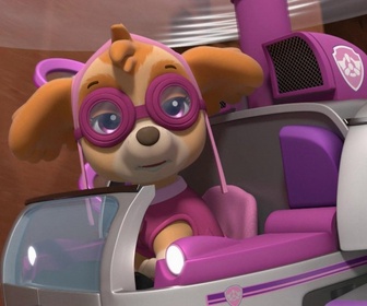 Replay Paw Patrol, la Pat'Patrouille - Monsieur Hellinger, pilote d'hélicoptère