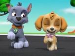Replay Paw Patrol, la Pat'Patrouille - La Fête avec les Chauves-Souris