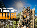 Replay Walibi : les secrets du parc à sensations