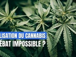 Replay DébatDoc - Légalisation du cannabis : le débat impossible ?