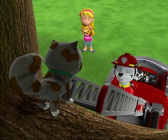 Replay Paw Patrol, la Pat'Patrouille - Le spectacle des chats