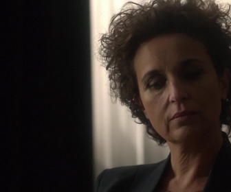 Replay Boulevard du palais - S17 E01 - Plein emploi pour la mort