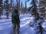 Replay Seuls face à l'Alaska - S6E11 - L'argent ne fait pas le bonheur