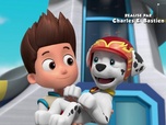 Replay Paw Patrol, la Pat'Patrouille - Panique à la fête foraine