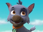 Replay Paw Patrol, la Pat'Patrouille - Le Lav'Animaux