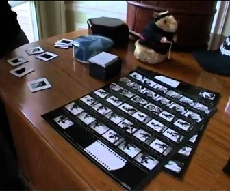 Replay Carnets de jour - Maïwen et José Bové