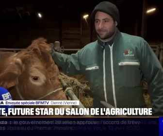 Replay Week-end première - Oupette, futur star du salon de l'agriculture