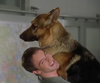 Replay Rex, chien flic - Héritage empoisonné